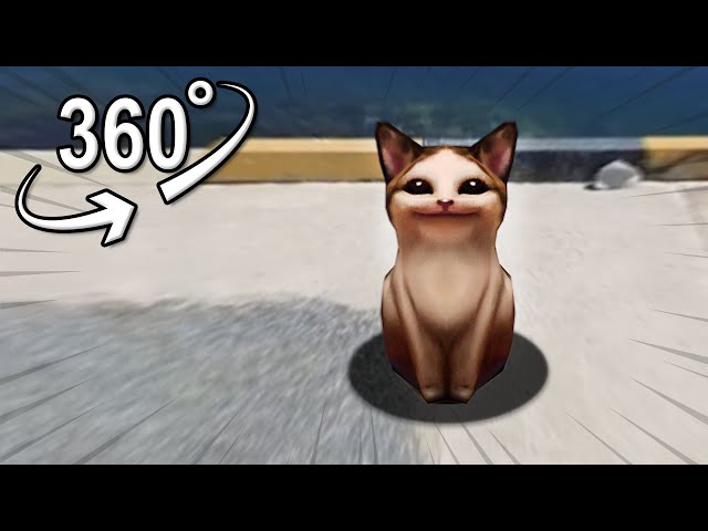 run pop cat  | VR 360°