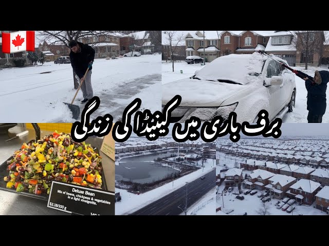 Snow Main Job Ki Routine | Salad Recipe | Mom Life In Canada 🇨🇦