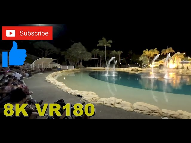 8K VR180 3D Sea World Spooky Nights Dolphins Halloween Gold Coast (Travel videos, ASMR/Music 4K/8K)