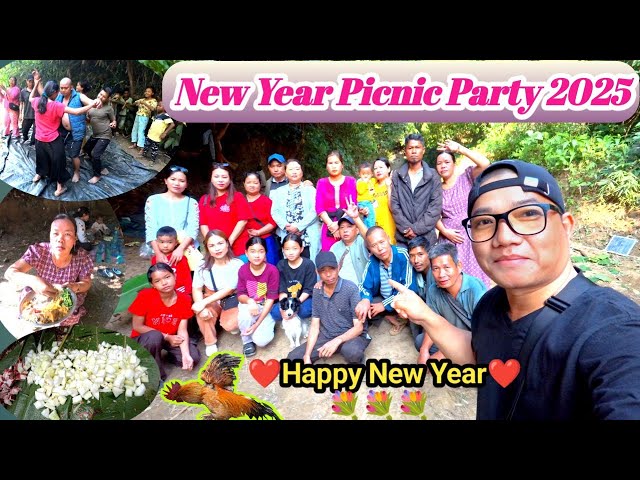 New year Picnic party 2025 || Happy new year 🥰 ||