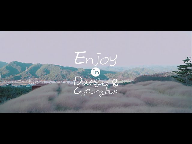 Enjoy in Daegu & Gyeongbuk(Traditional Chinese)