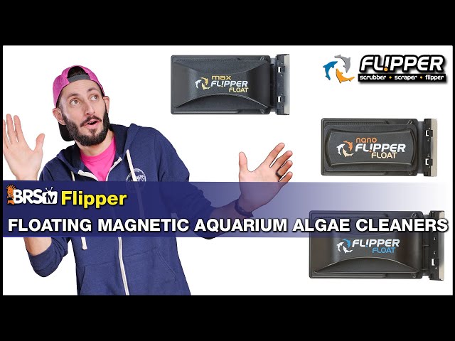 Your Flipper Magnet Cleaner Now Floats So You Don't Have to Dig in the Tank to Get It Back.