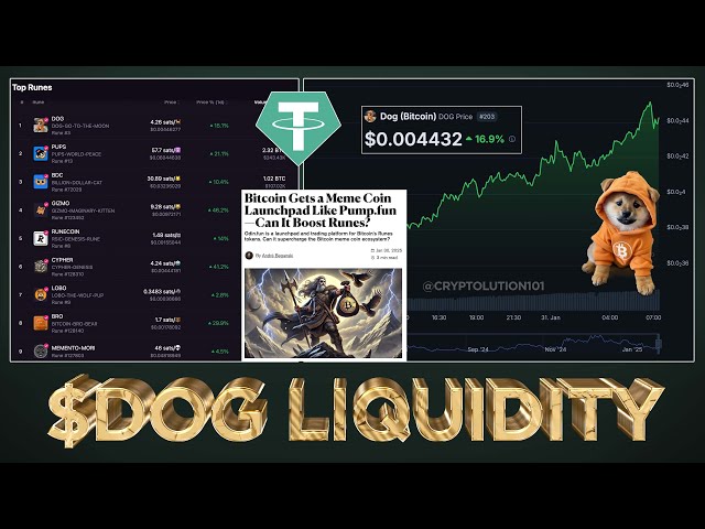 $DOG (Bitcoin) with Massive Inflows 💰 (Explained)