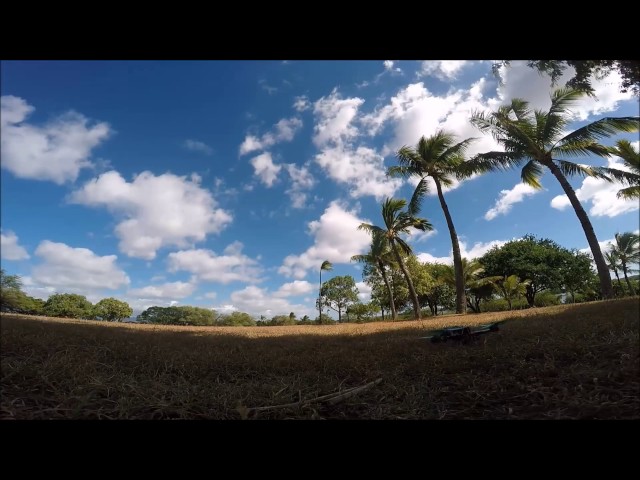 FPV Racing (Murder Track) Fly Aloha FPV MultiGP Chapter