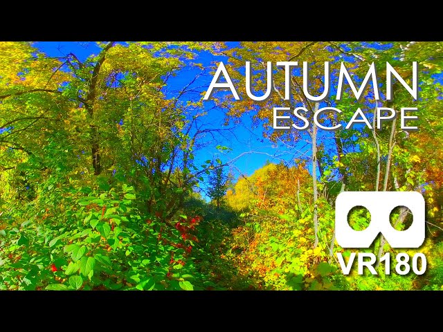 Autumn Escape: 2 Minutes To Escape & De-Stress in Virtual Reality / VR180