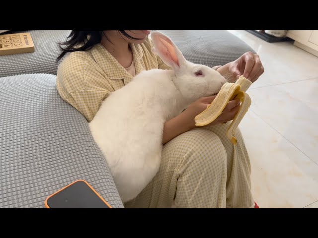 When I asked the rabbit who is the best friend in the world, it only has bananas in its eyes