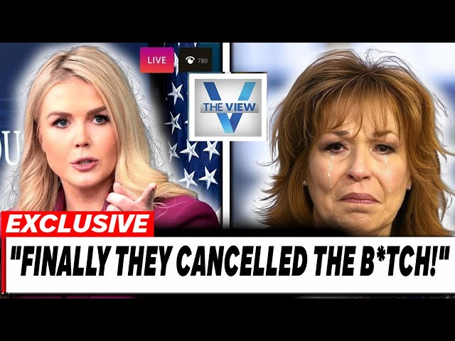 Finally! Joy Behar’s Exit from The View Sparks Outrage—Did Karoline Leavitt’s Lawsuit Force Her Out?