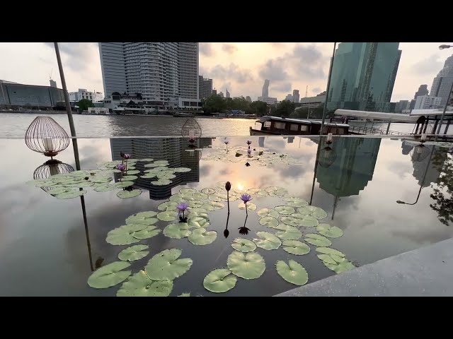 #Bangkok #Riverside Millennium Hilton Bangkok | Flow restaurant | breakfast 🥞 food display.