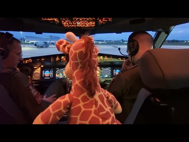 Flight of The Giraffes 2   The Movie