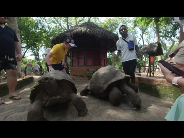 [VR180] Tanzania, Zanzibar, Nakupenda island and Prison island, Insta360 Evo