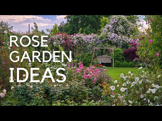 Choosing Roses: Arches, Pergolas, Fences, Obelisks...expert tips for a gorgeous garden!