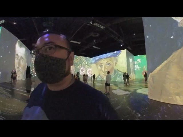 Imagine Van Gogh in 360 - Edmonton Exhibition - Part 2