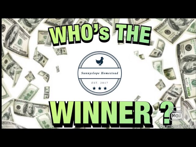 YouTube Pay Check Winner