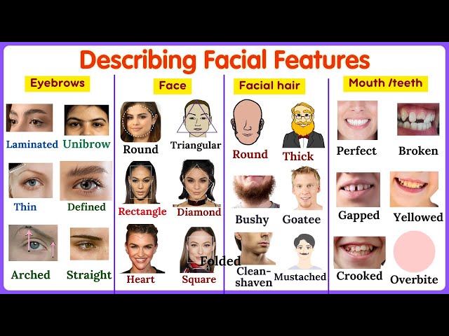 Vocabulary Lesson 187: Describe People's Appearance in English: Eyes, Nose, Mouth, Face Shapes& More