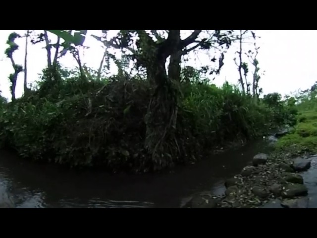 360 Video - Enjoying a day in traditional swimming pool