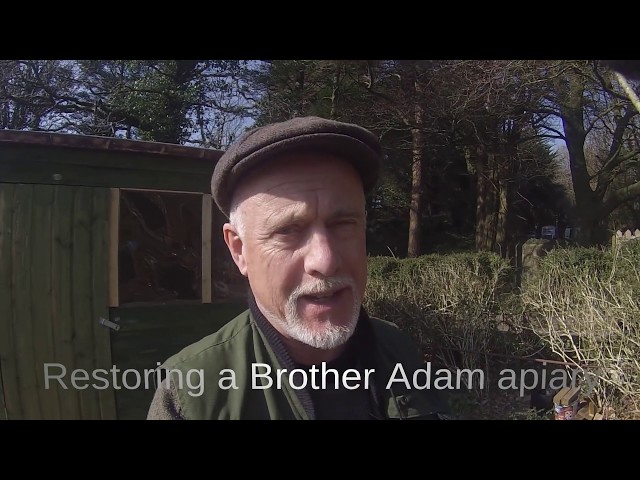 Restoring a Brother Adam apiary