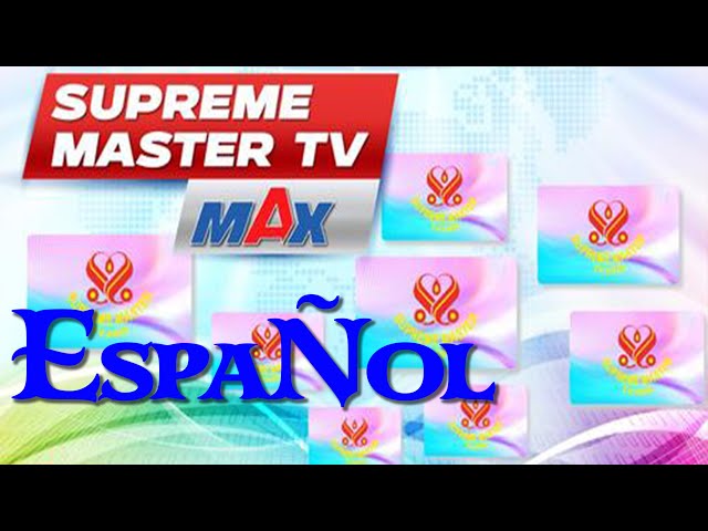 🔴 EN VIVO 24/7: 🌿 Transmisión EN VIVO de 40X SMTV MAX 🌿