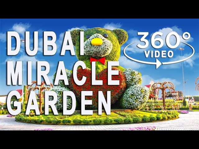 360° Video | Dubai Miracle Garden | UAE