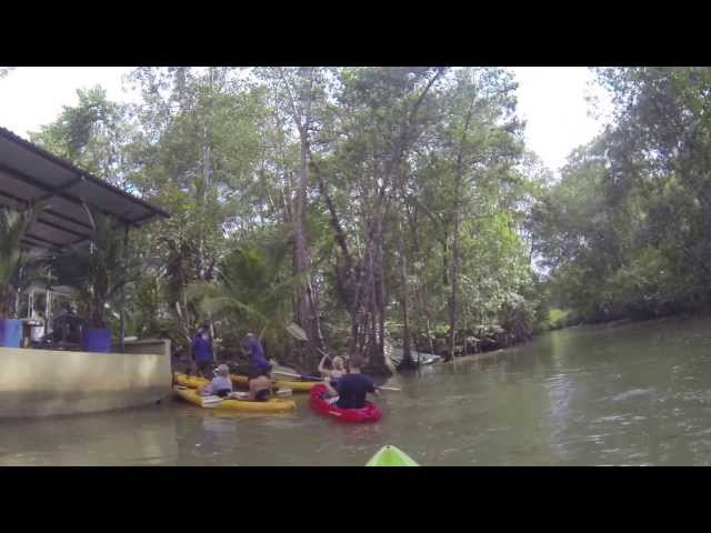 Kayaking in Mangroves, Manuel Antonio, Costa Rica