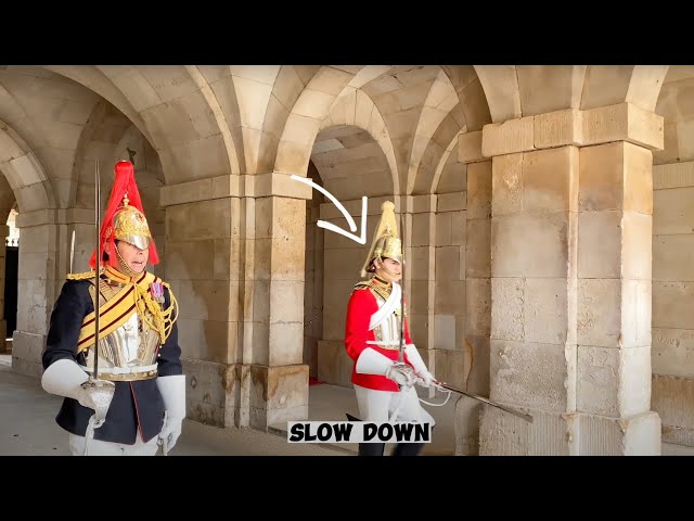 RESPECT ‼️💂‍♀️ Blues and Royals Guard tells the LIFE guard to “SLOW DOWN”