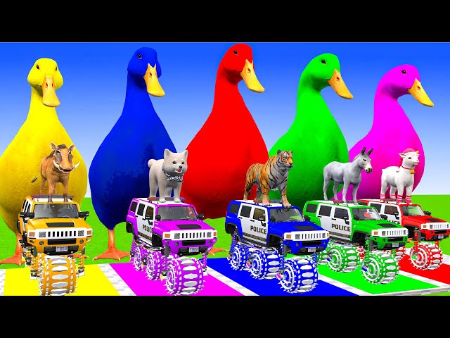 5 Giant Duck Cartoon,Cow,Elephant,Tiger,Lion,Dinosaur,Paint Wild Animals Crossing Fountain Animation