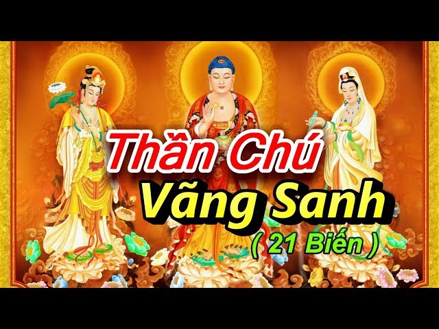 Chú Vãng Sanh 21 biến _  TT Thích Trí Thoát trì tụng