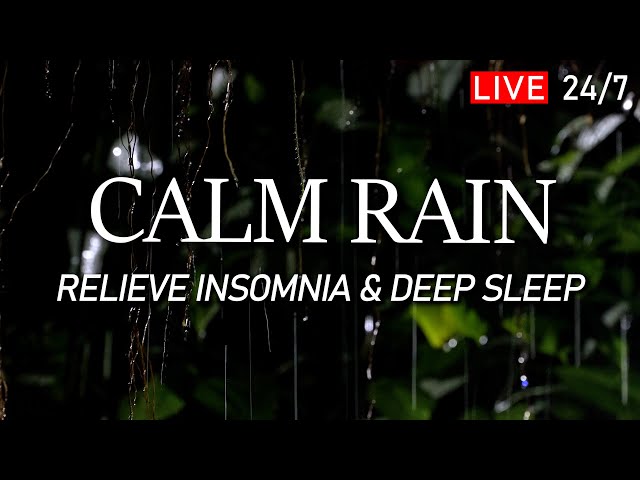 🔴 Rain Sound for Sleeping - Fall Into a Deep Sleep with Calm Rain. Relieve Insomnia, Peace of Mind