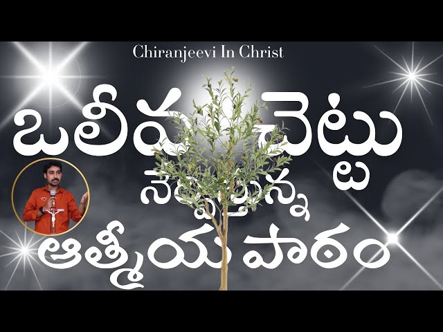 ఒలీవ చెట్టు ద్వారా ఆత్మీయ పాఠం | Lessons from the olive tree | Telugu Christian short message