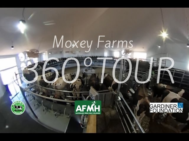 Moxey Farms 360° Video Tour - Australia's Largest Single Site Dairy farming operation