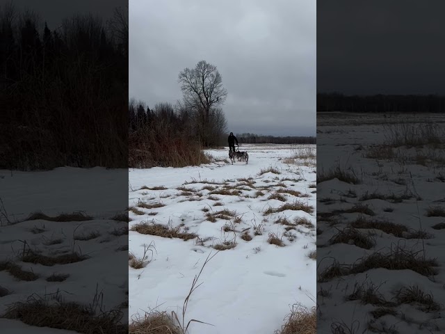 Small team training near Kennan, Wisconsin