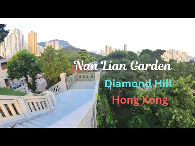 Nan Lian Garden | Hong Kong | হংকং | Chinese Garden ideas @mamomenhk