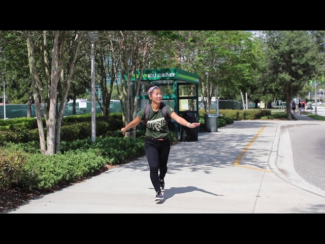 Using College Transportation at USF | University of South Florida