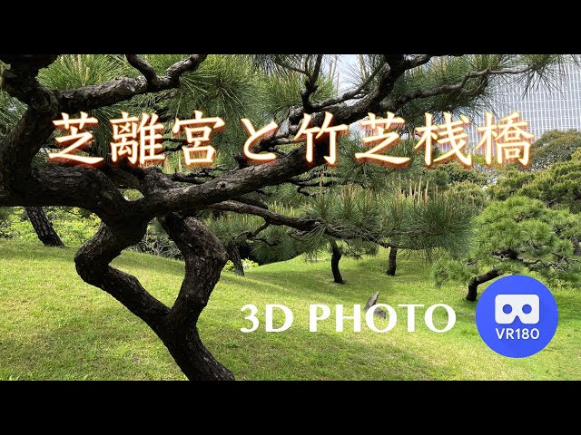 [3D VR180]  芝離宮と竹芝桟橋