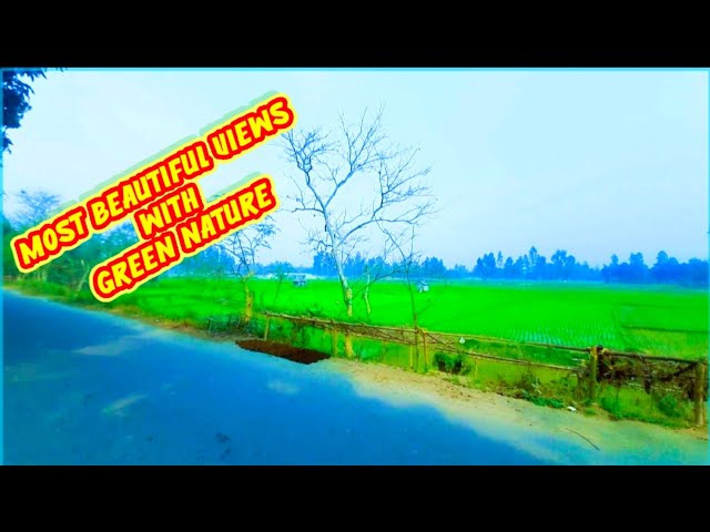 Most Beautiful Green Nature In Village || Green Nature Views