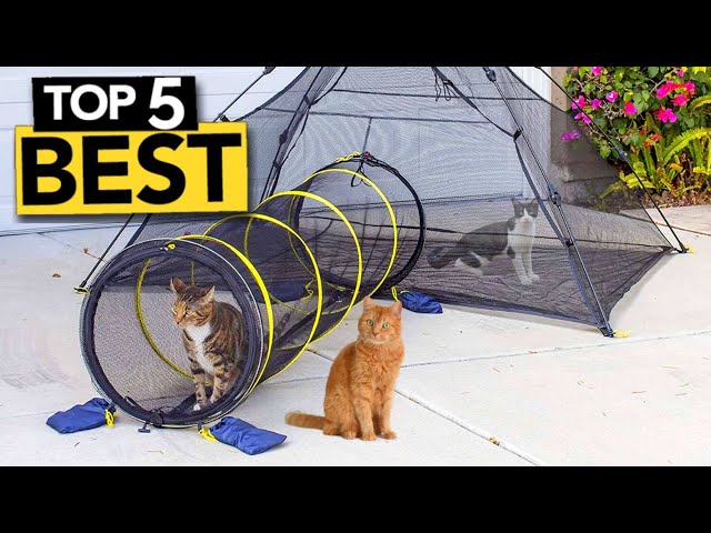 TOP 5 Best Cat Cage Playpens [ 2024 Buyer's Guide ]