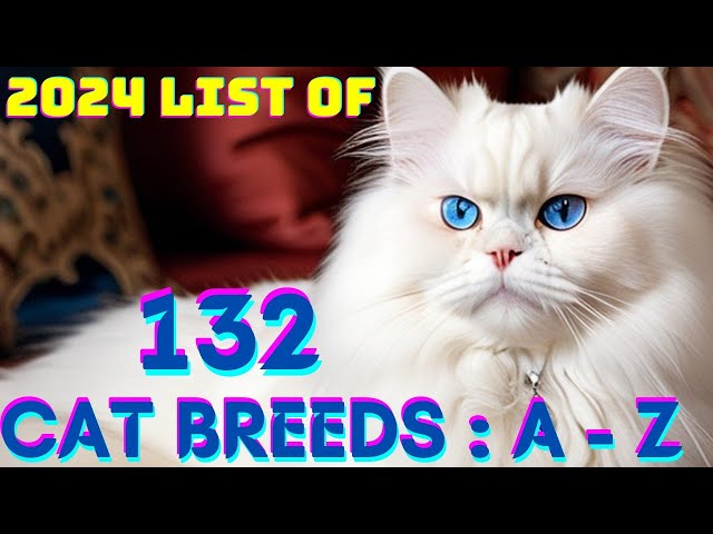 Discover All Cat Breeds Complete Guide #catbreeds #catfacts