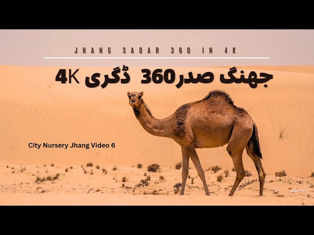 City Nursery Jhang |360degree 4K|  Jul 2024