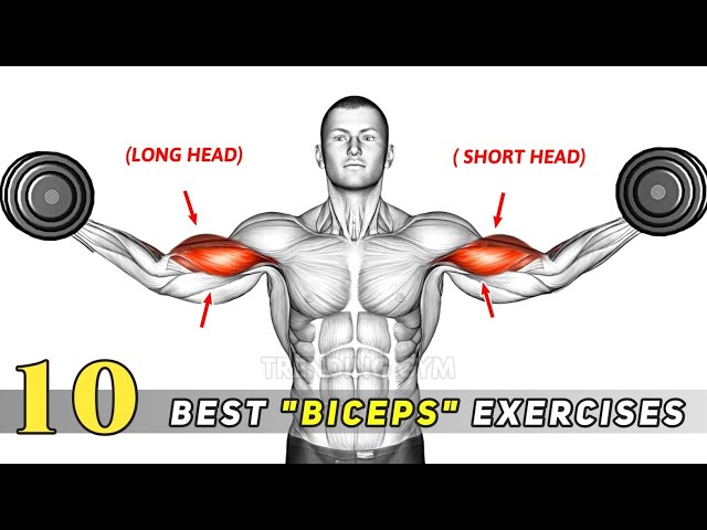 10 Best Biceps Super Set Exercises - Big Biceps Workout Routine