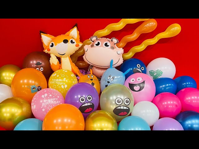 FUN HAPPY BIRTHDAY BALLOON POPPING #sounds #popping #subscribe #like #balloons #satisfying