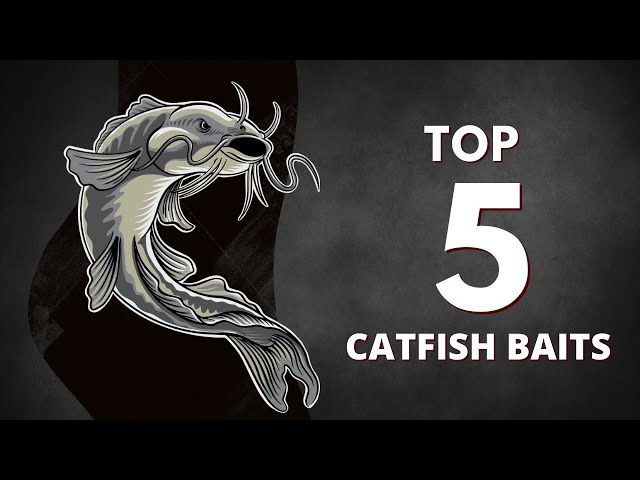 Top 5 CATFISHING Baits To Try! (Under 5 Minutes!)