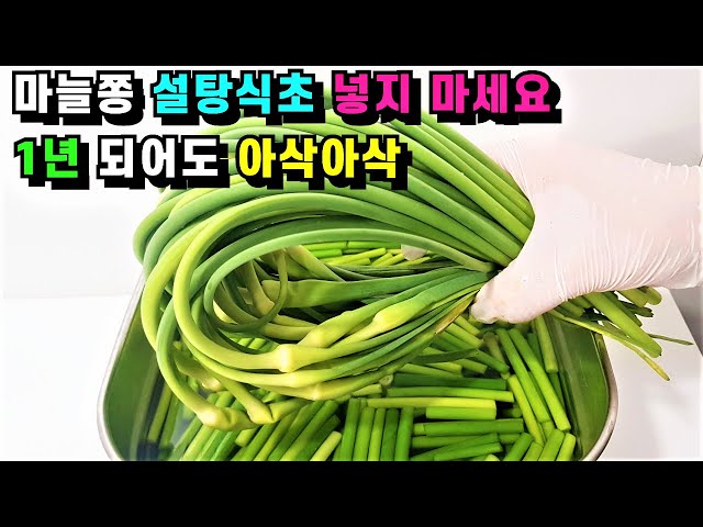 💚마늘쫑은 무조건 많이 사오셔서 이렇게 드세요✅이렇게 해 놓으면 매일매일 행복하고 건강합니다/마늘쫑요리