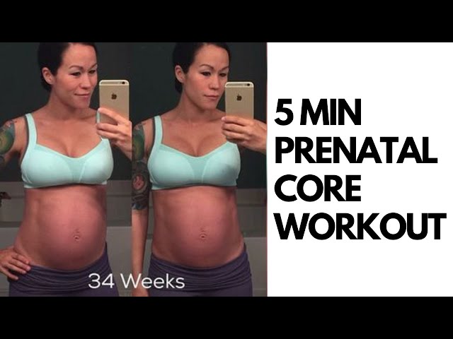 "SIX PACK" PREGNANCY ABS WORKOUT | 5 MINUTES!! {Diastasis Recti Safe}