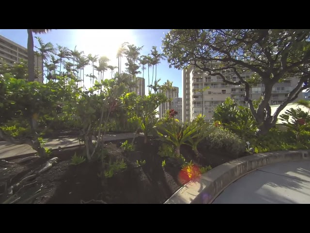 ViewPT Realia 8k 30fps Sample Footage - Hawaii Convention Center