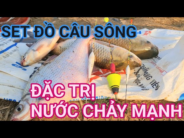 SET ĐỒ CÂU SÔNG ĐĂC TRỊ NƯỚC CHẢY MẠNH#caucatunhien#fishing