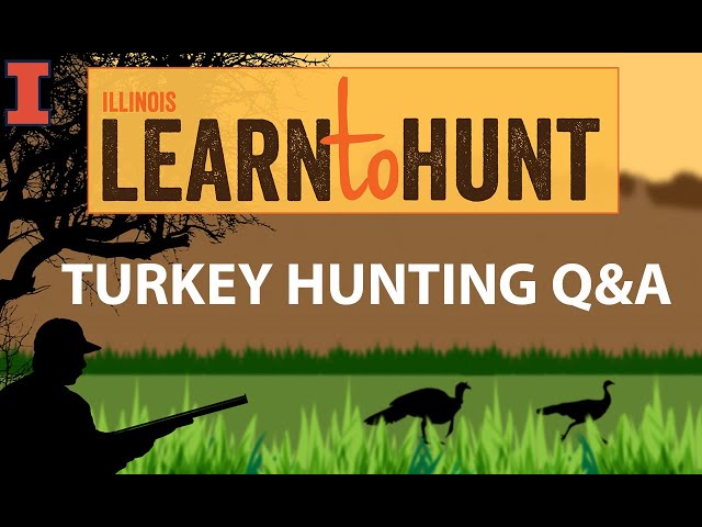 Turkey Hunting Q&A