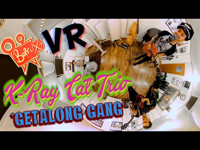 'Getalong Gang' X-RAY CAT TRIO (Sugar Ray's Vintage Studio, 360° VR) BOPFLIX sessions