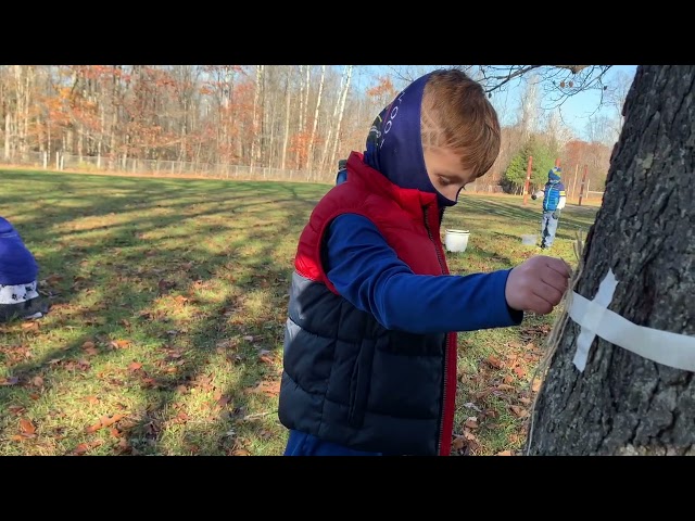 School Yard Field Trips | Explore Nature | Elementary School