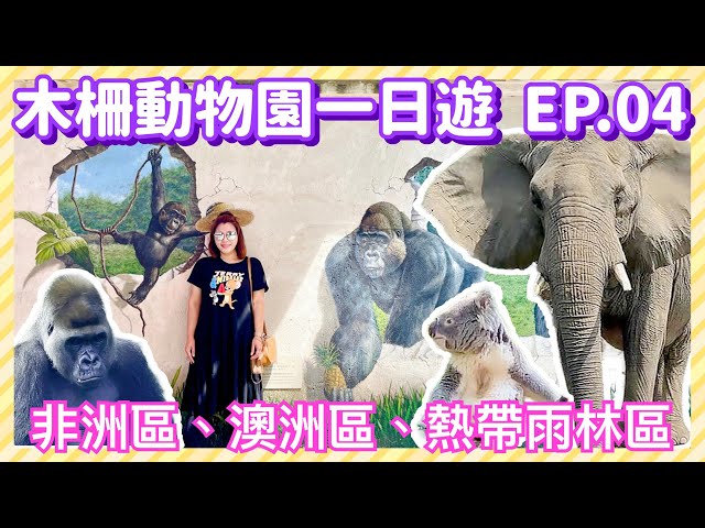 【台北景點】木柵動物園 EP.04 「非洲區」、「澳洲區」、「熱帶雨林區」（完整記錄）Taipei Zoo