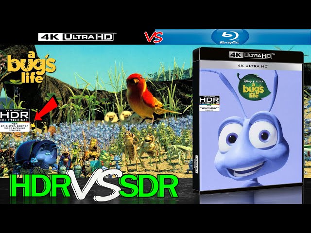 A Bugs Life 1998 HDR ANALYSIS 4K Blu Ray vs 1080p BD SDR 100nits #TRUE_DIFFERENCE #WATCH_IN_HDR