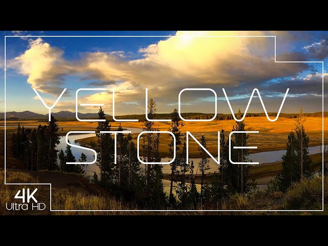 Yellowstone National Park | 4K Ambient Nature Video